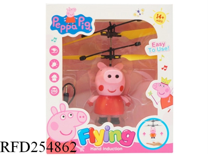INDUCTION FLYING PIG