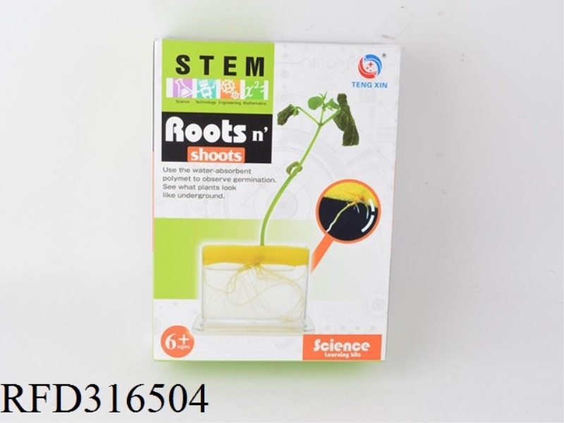 SCIENCE TEACHING MATERIAL EXPERIMENTAL EDUCATIONAL TOY TO SEE THE COMPLETE RHIZOME OBSERVATION SET