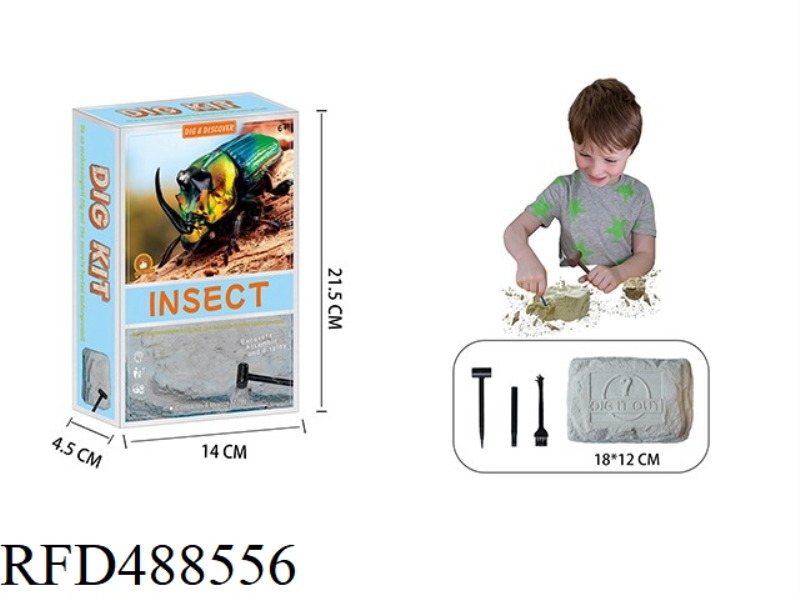 ARCHAEOLOGICAL BIG FOSSIL INSECT SET