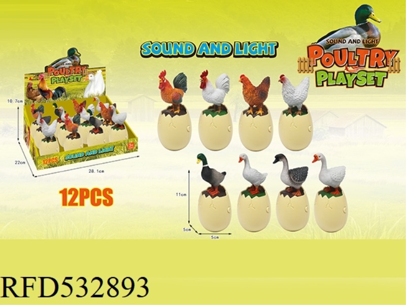 INTERESTING POULTRY SOUND AND LIGHT SERIES (12 / BOX)