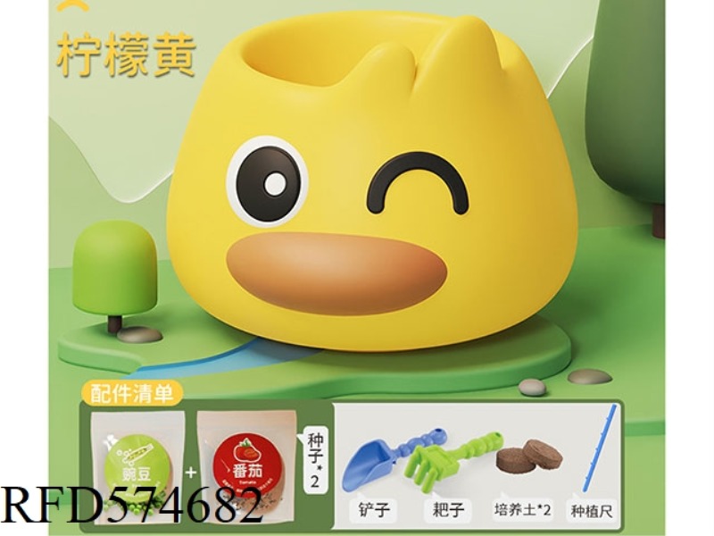 SCIENCE AND EDUCATION STEAM DUCK FLOWER POT