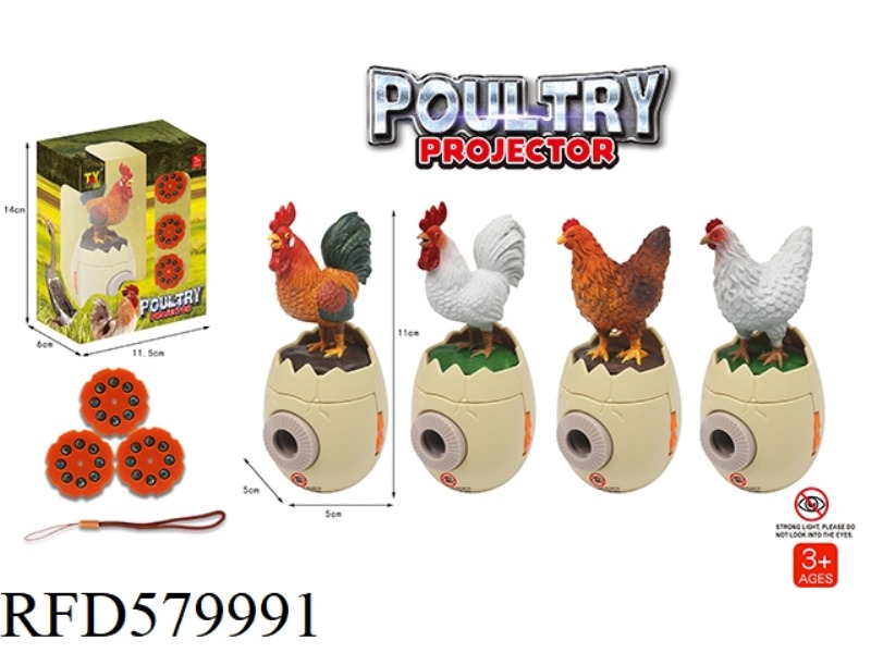 INTERESTING POULTRY PROJECTION SERIES