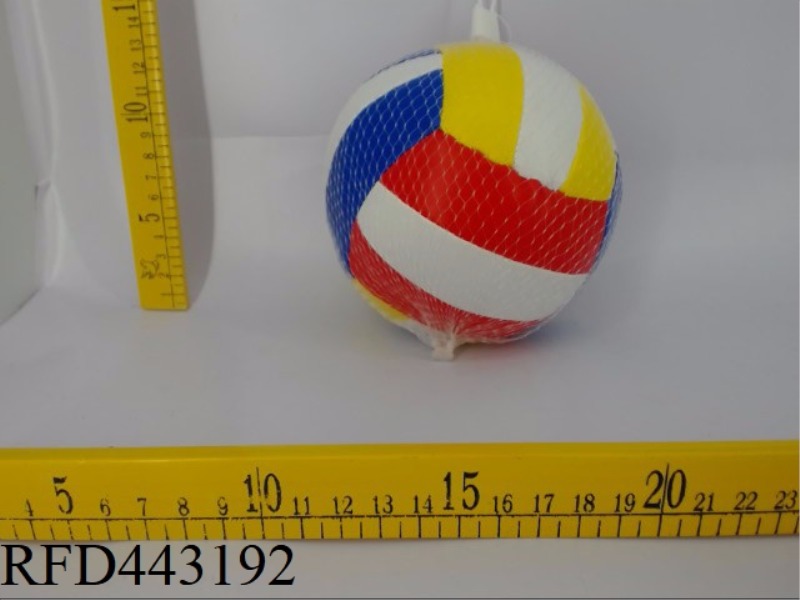 5-INCH VOLLEYBALL