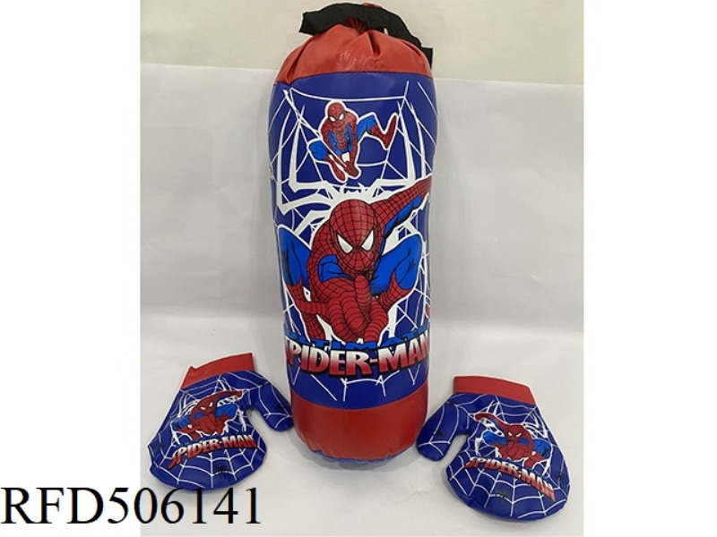 BLUE SPIDER-MAN BOXING RING