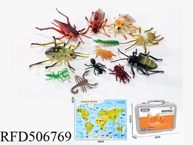 A 13-PIECE INSECT MODEL CLUTCH BOX