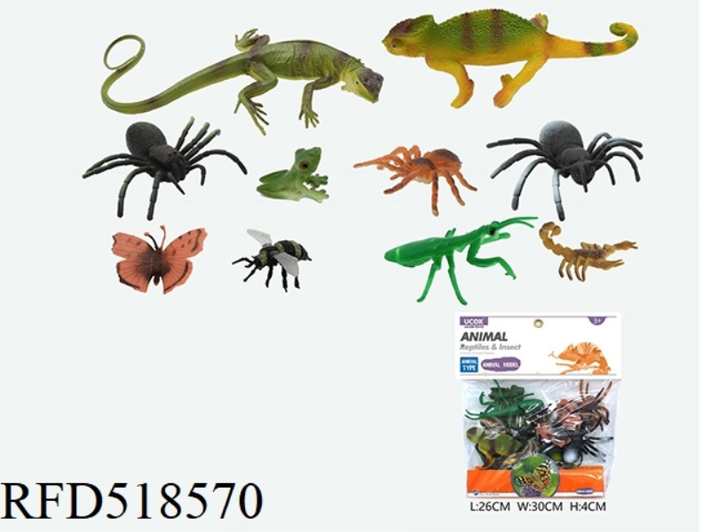 LIZARD INSECT SET OF 10