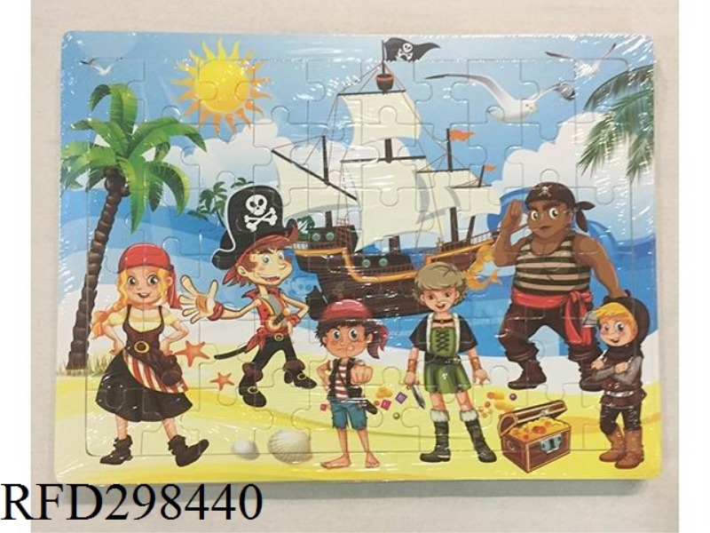 THE PIRATE PUZZLE