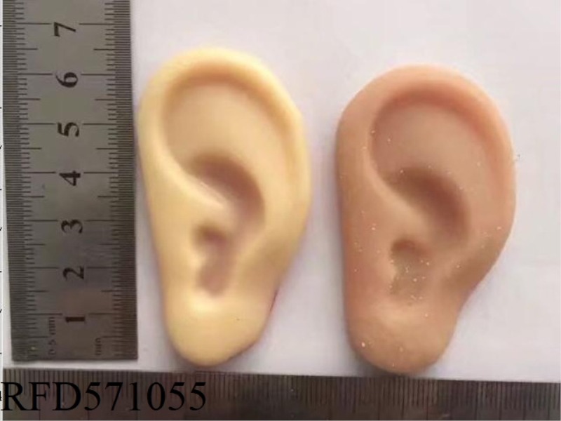 EAR AND EYE