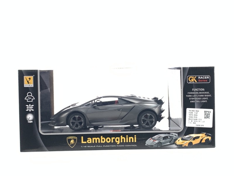 1:18 RC CAR