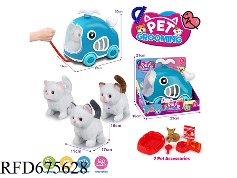 WHALE LEASH BIKE + ELECTRIC PLUSH AMERICAN SHORTHAIR + ACCESSORIES