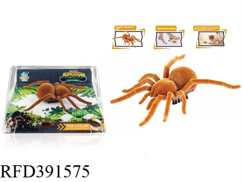 SHAKING CRAWLING LITTLE TARANTULA