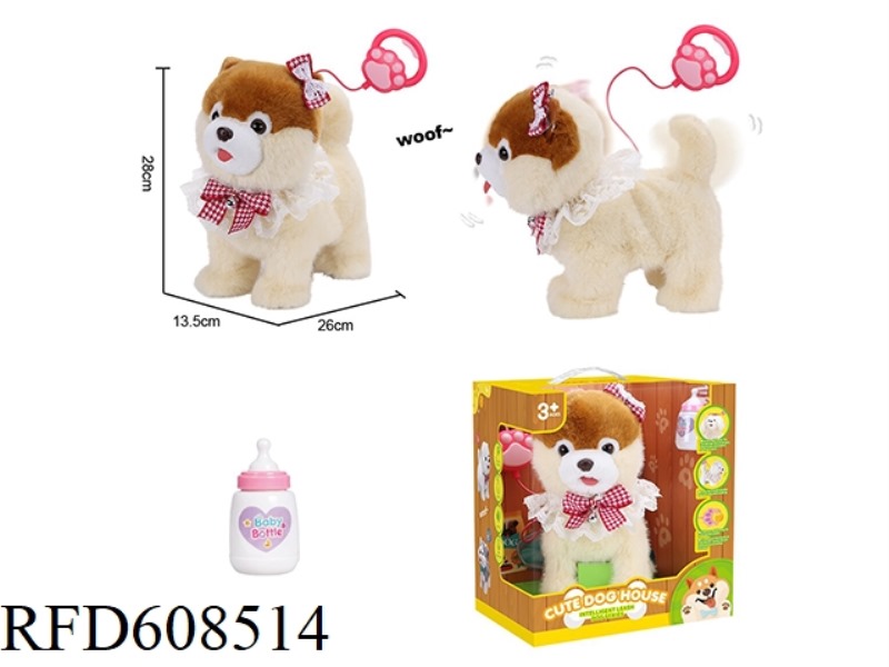LAPPING POMERANIAN ON A ROPE