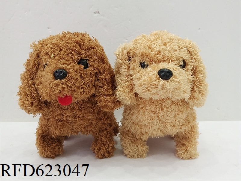 TEDDY DOG