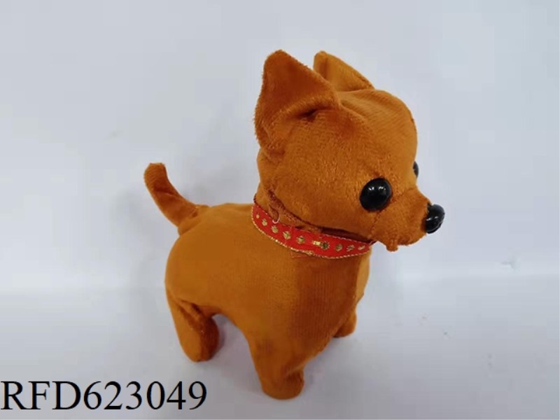 CHIHUAHUA