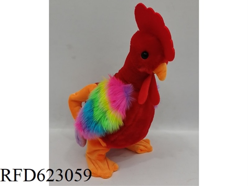 COLORFUL ROOSTER