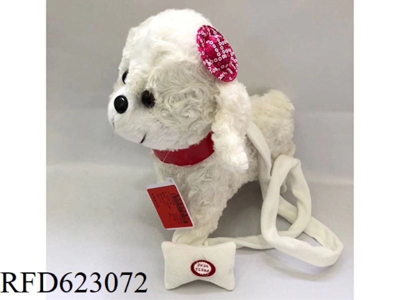 POODLE ON A LEASH