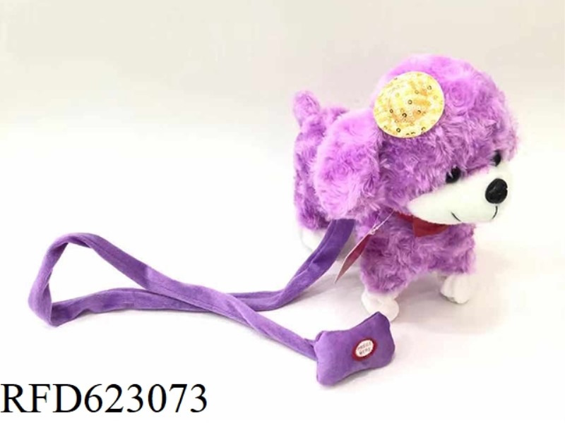 POODLE ON A LEASH