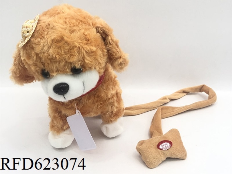 POODLE ON A LEASH