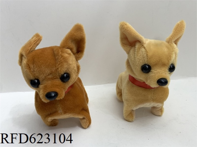 ELECTRIC CHIHUAHUA