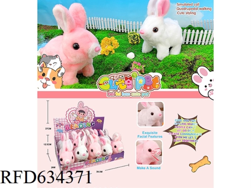 ELECTRIC PET 10PCS