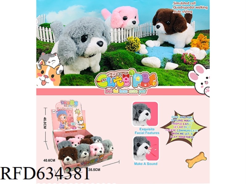 ELECTRIC PET 12PCS