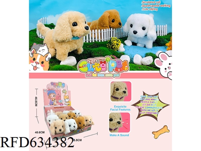 ELECTRIC PET 12PCS