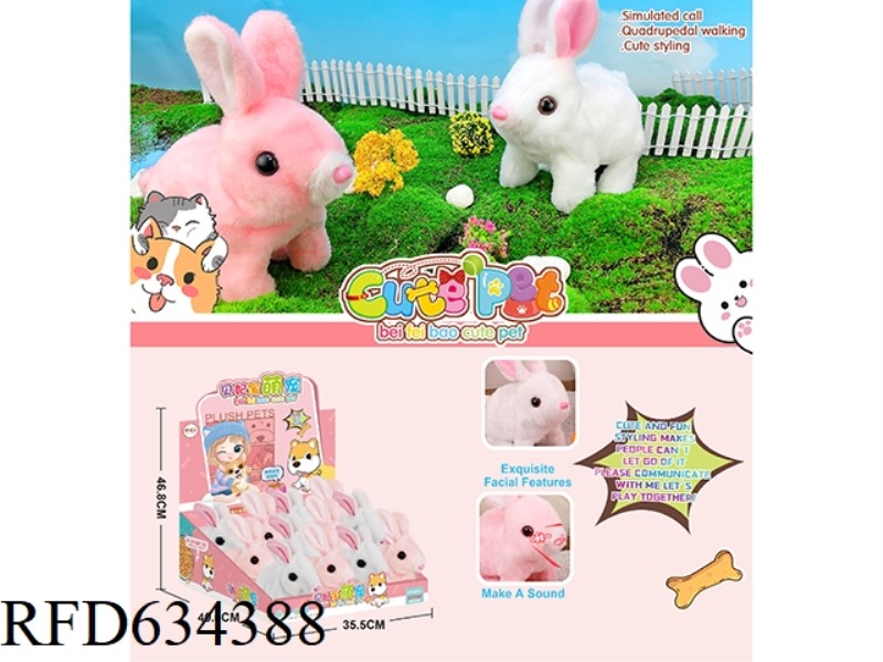 ELECTRIC PET 12PCS