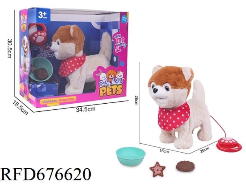ELECTRIC LEASH WALKING BROWN AKITA DOG LARGE DOG WITH VOICE CONTROL TOUCH FUNCTION