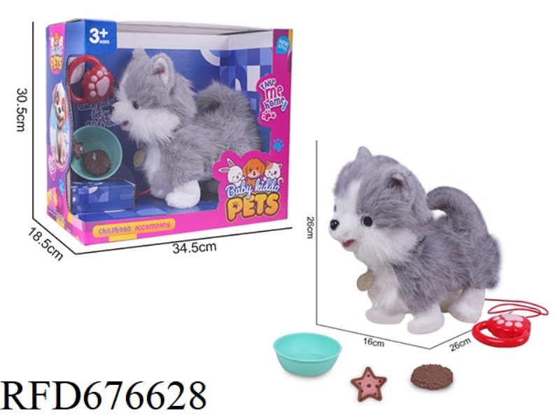 ELECTRIC LEASH WALKING LONG-HAIRED GRAY AND WHITE DOG WITH VOICE-CONTROLLED TOUCH FUNCTION