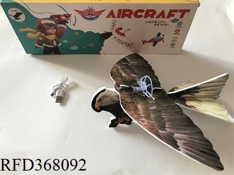 ELECTRIC FLYING EAGLE