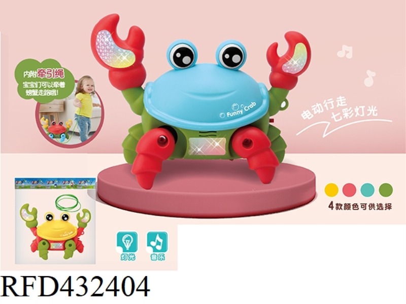 FUNNY LITTLE CRAB