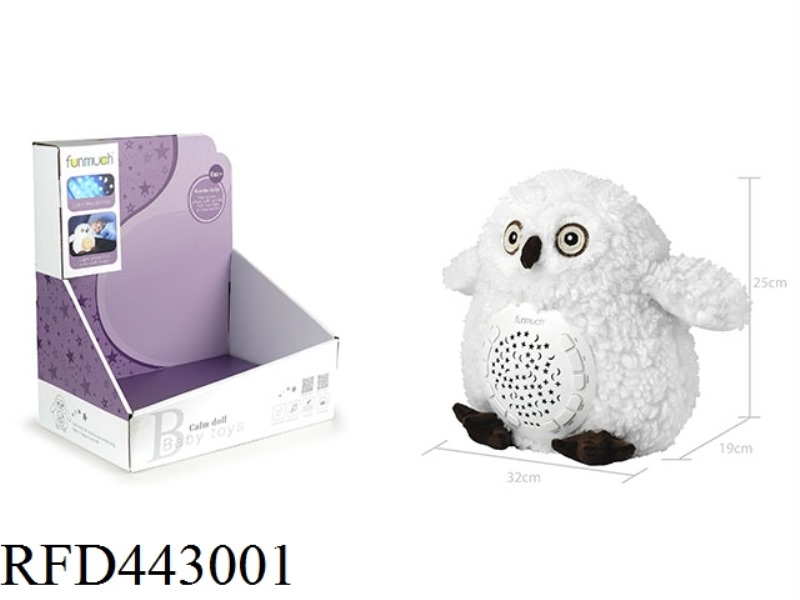 COMFORT OWL PROJECTION  12
