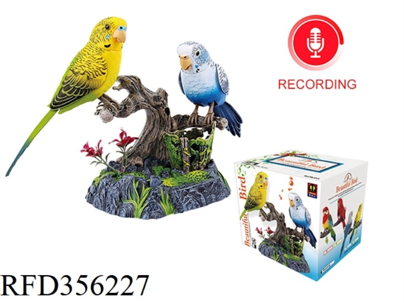 SIMULATION RECORDING PARROT DOUBLE BIRD