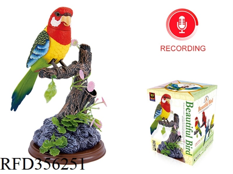 SIMULATION RECORDING SINGLE PARROT