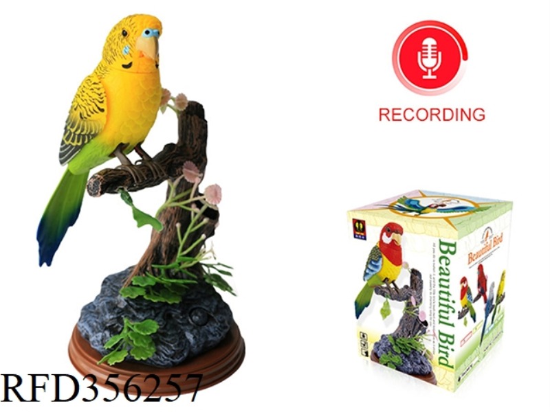 SIMULATION RECORDING SINGLE PARROT