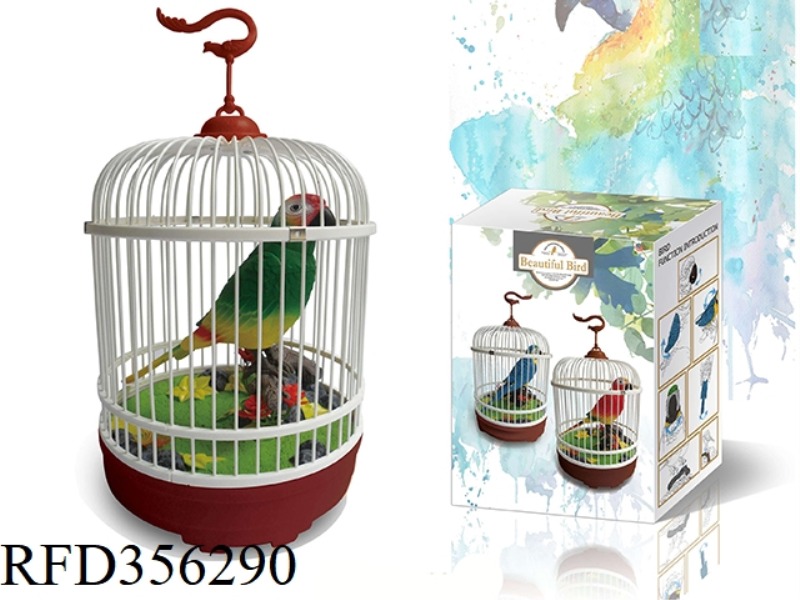 SINGLE PARROT BIRD CAGE-RECORDING