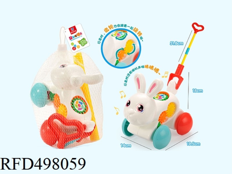 PUSH THE RABBIT