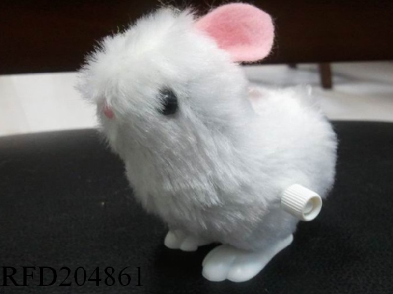 WIND UP RABBIT