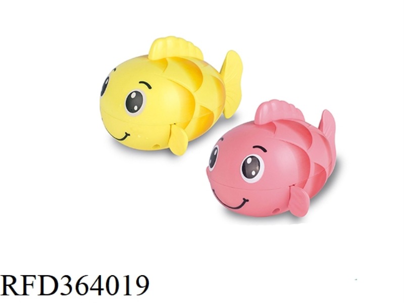 CUTE CARP (WINDING UP)