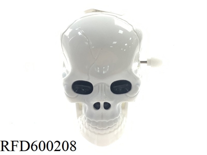 WHITE SKULL ON CHAIN