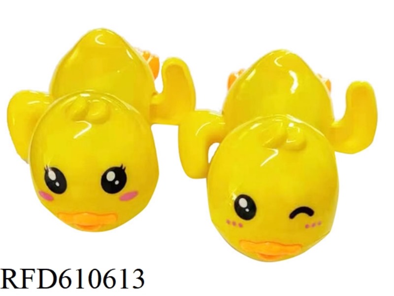 PLAYING WITH DUCKS IN THE WATER