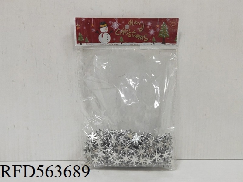 61# SILVER SNOWFLAKE