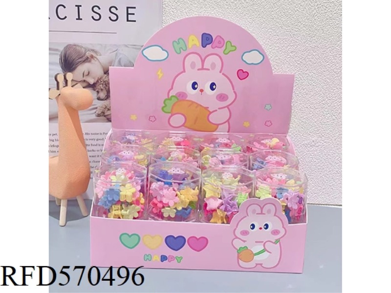 ACCESSORIES (SMALL CLIP) 12PCS