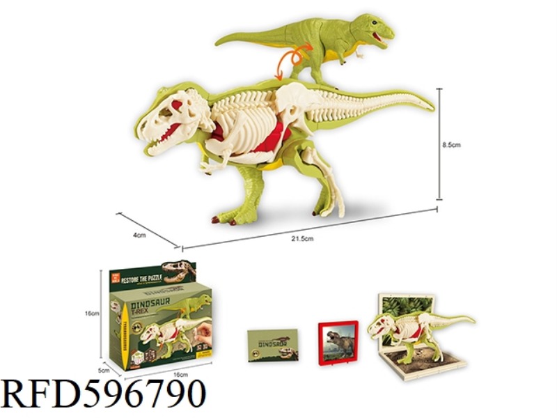 3D TYRANNOSAURUS REX SELF-ASSEMBLED