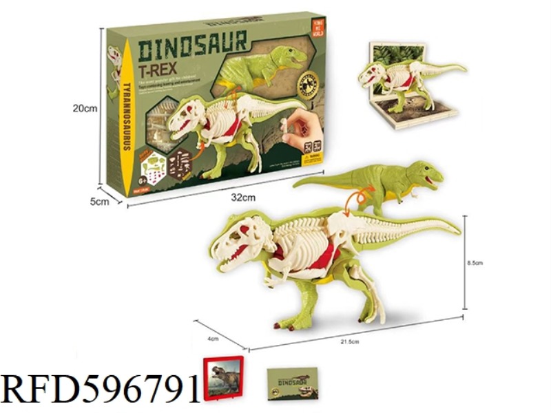 3D TYRANNOSAURUS REX SELF-ASSEMBLED