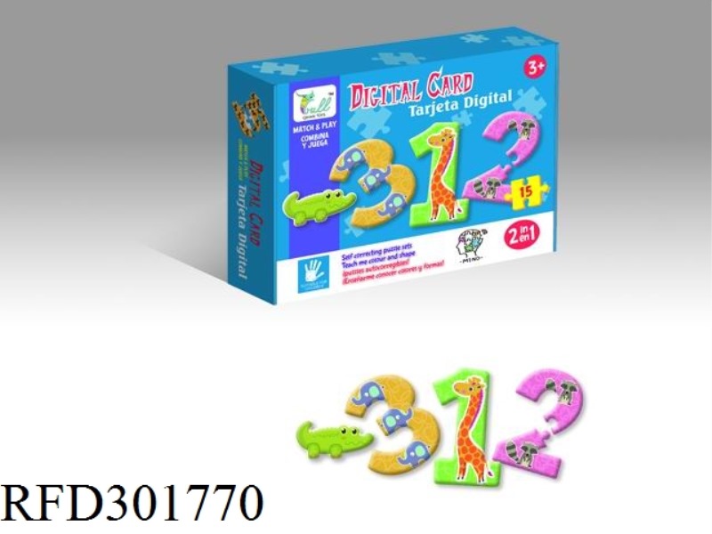 DIGITAL COMBINATION MATCH PUZZLE 15PCS