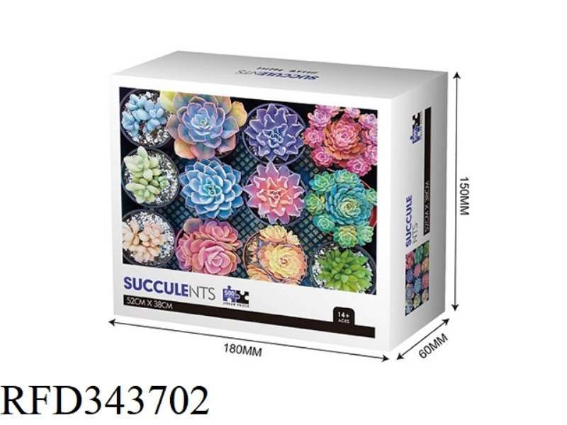 500 PIECE PUZZLE