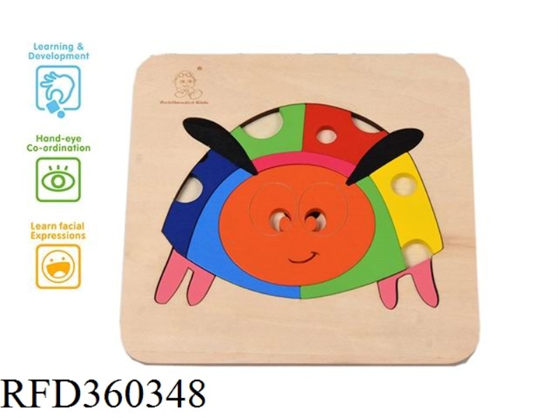LADYBUG INTELLIGENCE PUZZLE