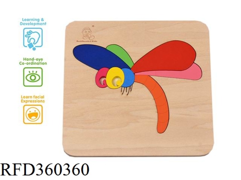 DRAGONFLY INTELLIGENCE PUZZLE
