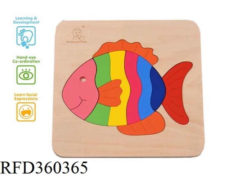 SMALL FISH INTELLIGENCE PUZZLE